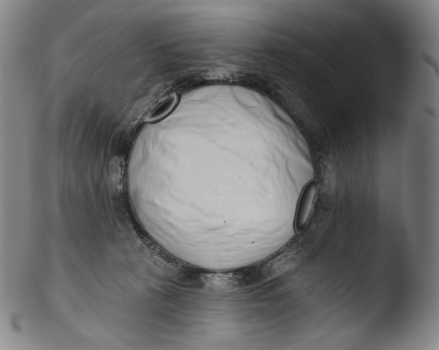 X0000103440273200809261801