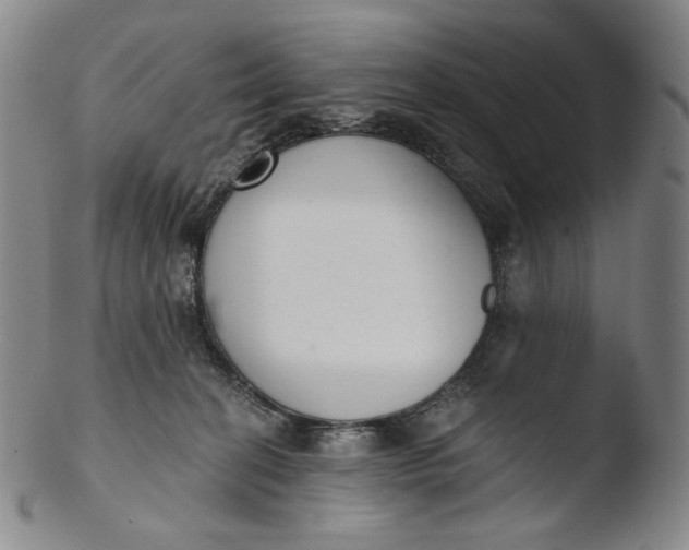 X0000103440274200809261801