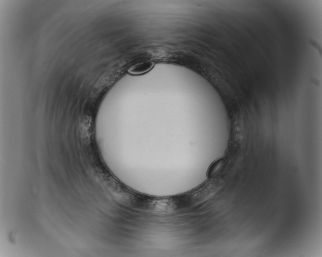 X0000103440275200809261801