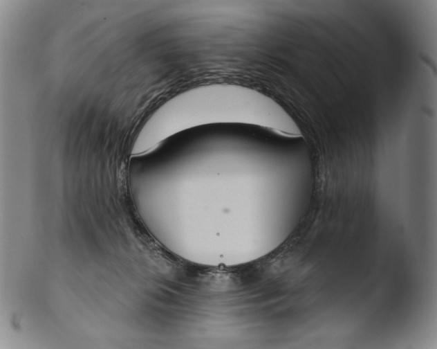 X0000103440276200809261801
