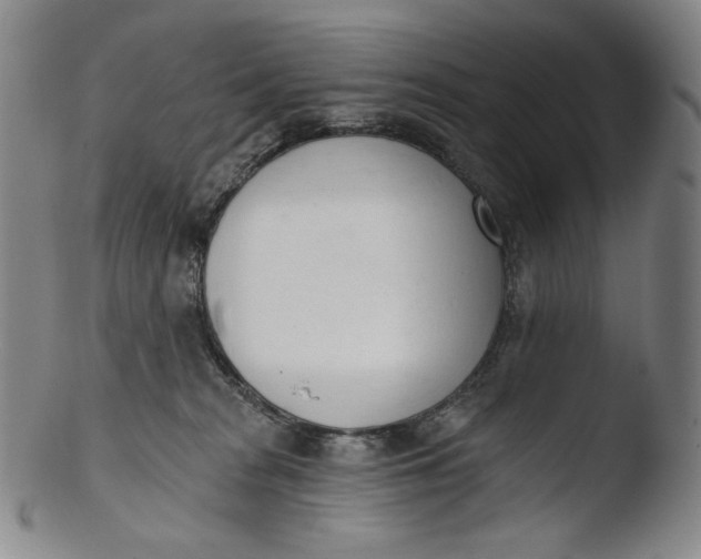X0000103440277200809261801