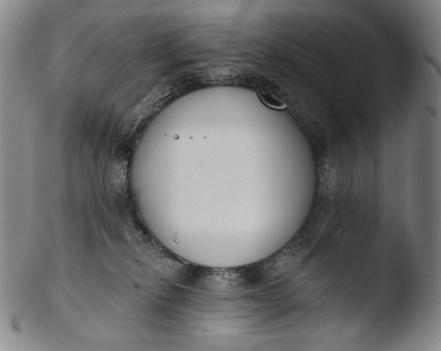 X0000103440278200809261801
