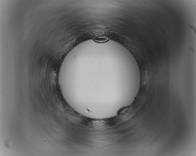 X0000103440279200809261801