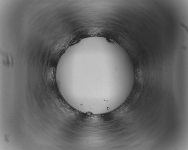 X0000103440280200809261801