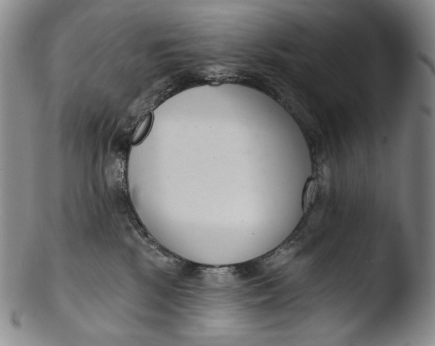 X0000103440281200809261801