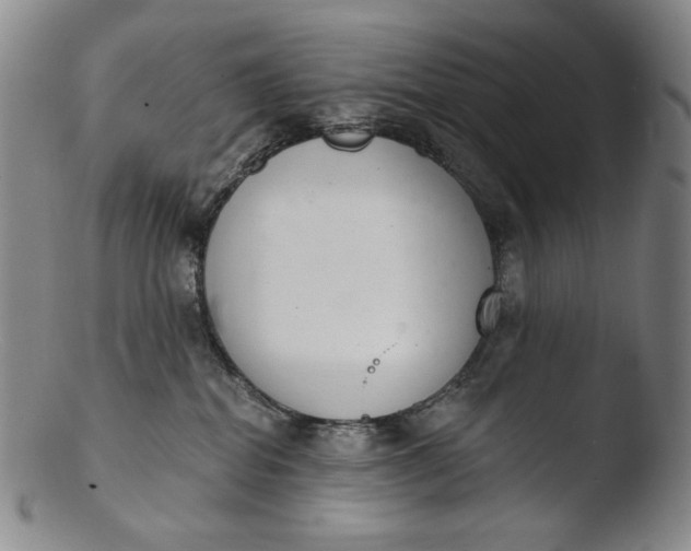 X0000103440282200809261801