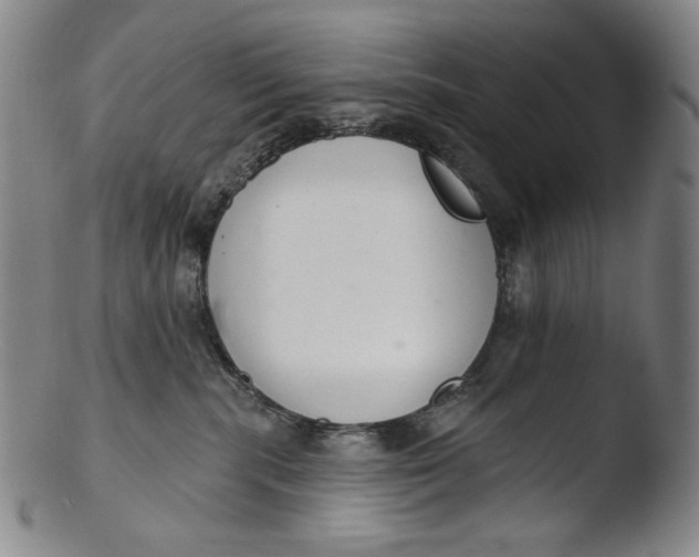 X0000103440283200809261801