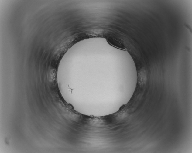 X0000103440284200809261801