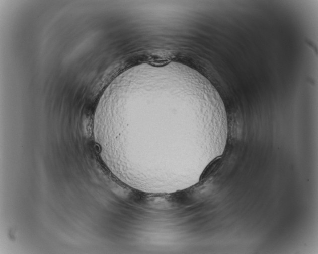 X0000103440285200809261801
