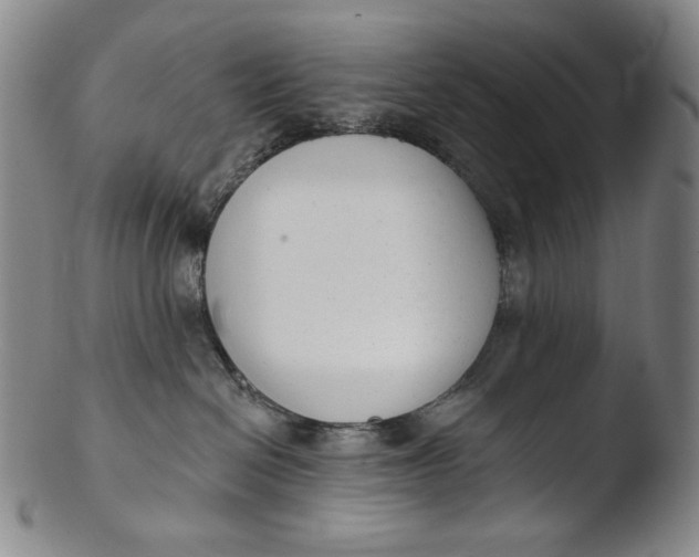 X0000103440286200809261801