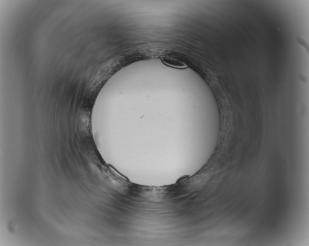X0000103440288200809261801