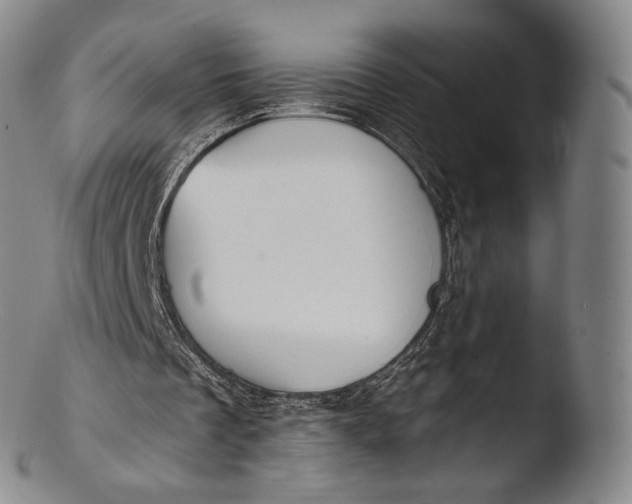 X0000103440289200809261800