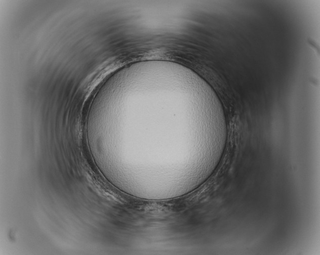 X0000103440290200809261800