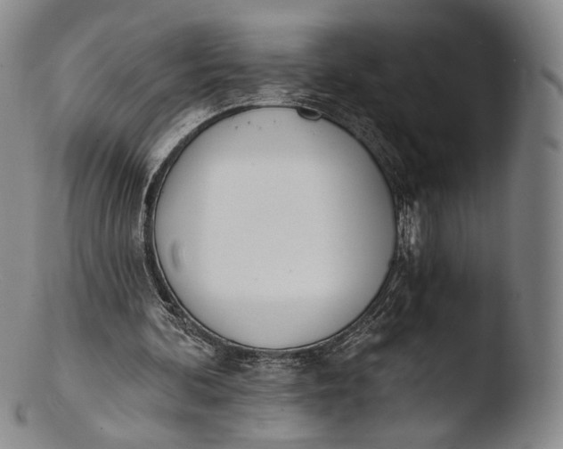 X0000103440292200809261800