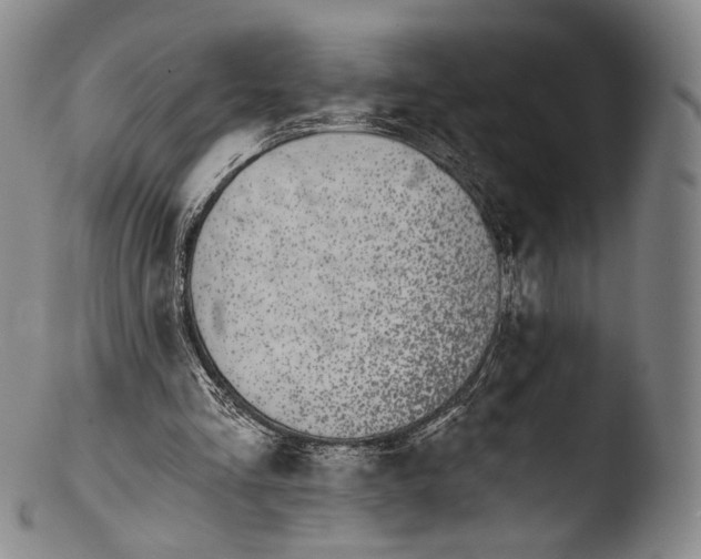 X0000103440293200809261800