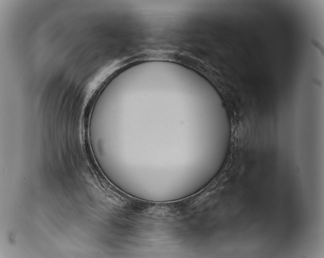 X0000103440294200809261800