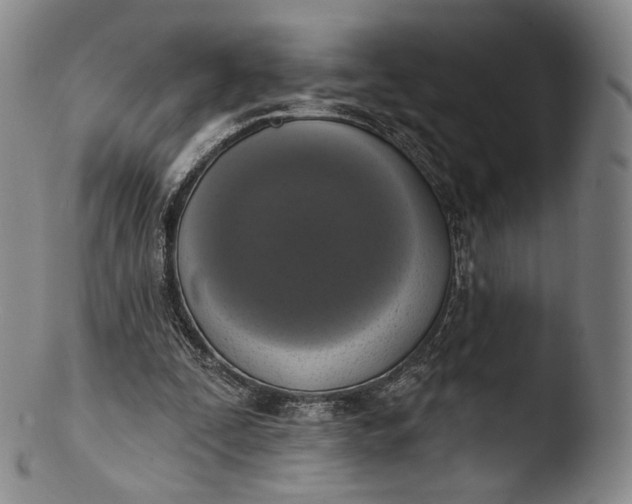 X0000103440295200809261800