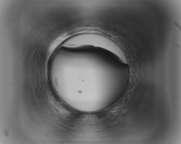 X0000103440296200809261800
