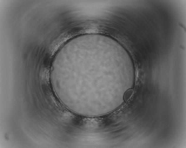 X0000103440297200809261800