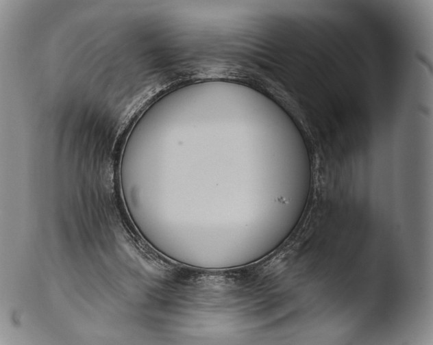 X0000103440298200809261800