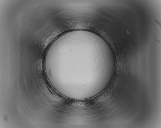 X0000103440299200809261800