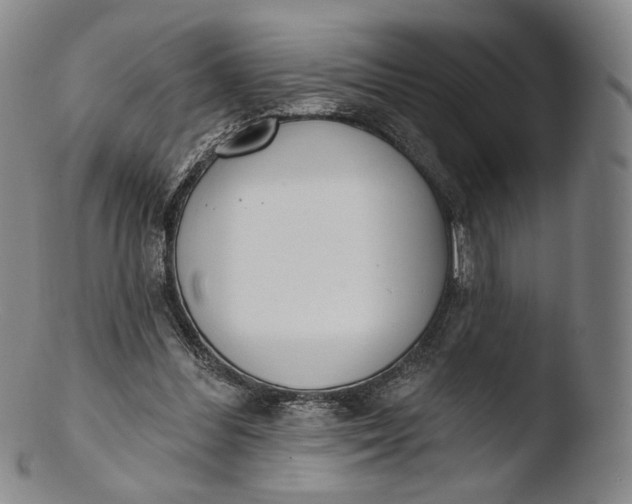 X0000103440300200809261800