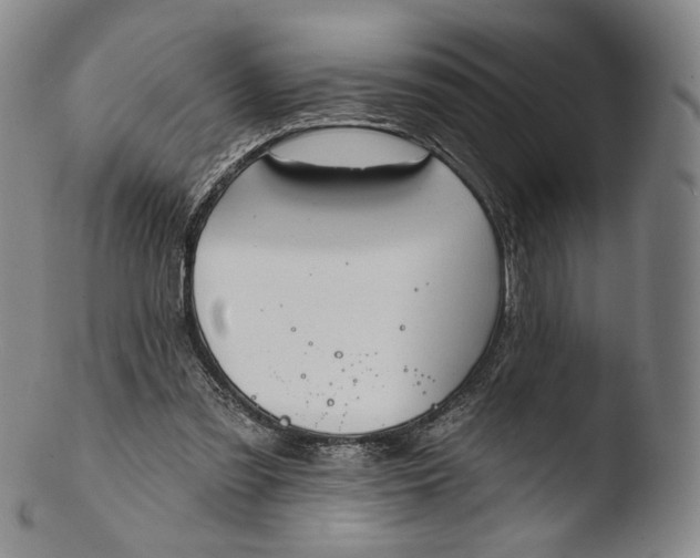 X0000103440301200809261800