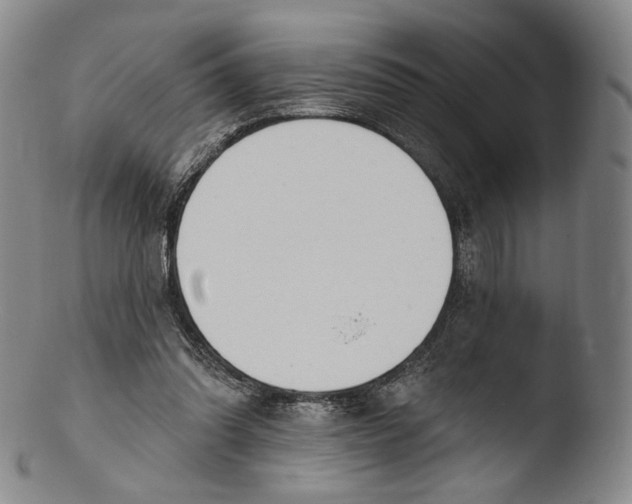 X0000103440302200809261800