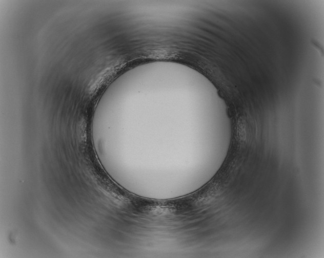 X0000103440303200809261800