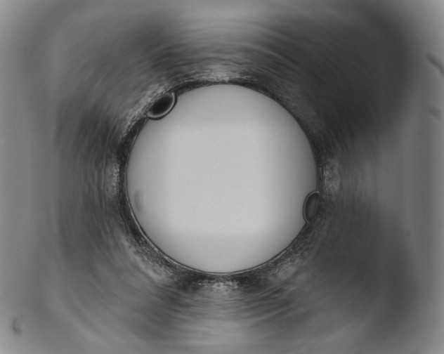 X0000103440304200809261800