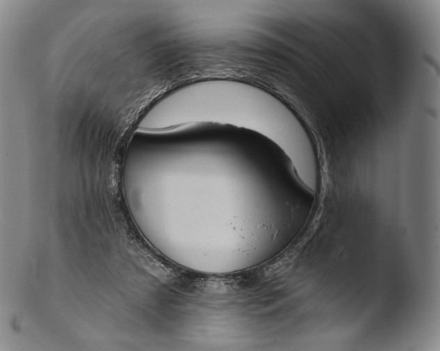 X0000103440305200809261800