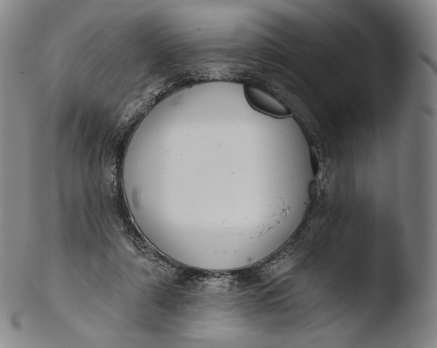X0000103440306200809261800