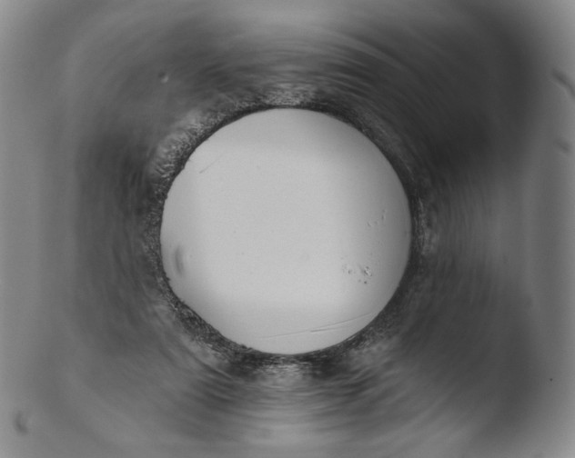 X0000103440307200809261800