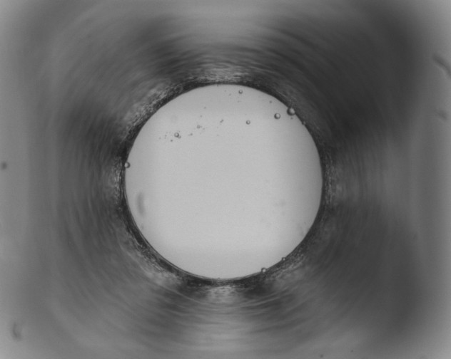 X0000103440309200809261800
