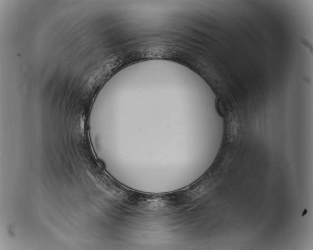 X0000103440310200809261800