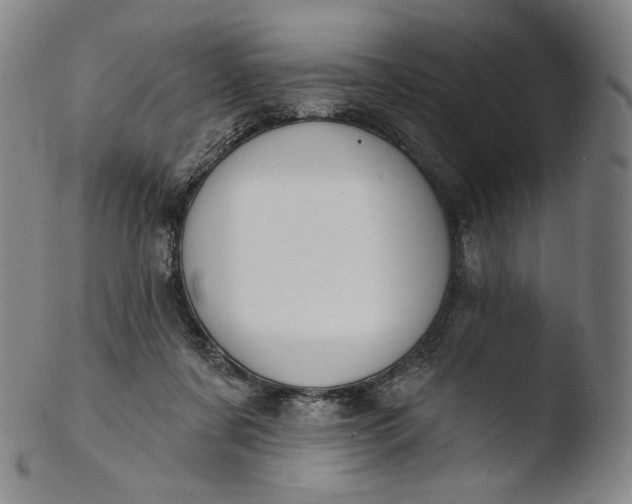 X0000103440311200809261800