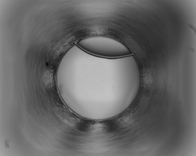 X0000103440312200809261800