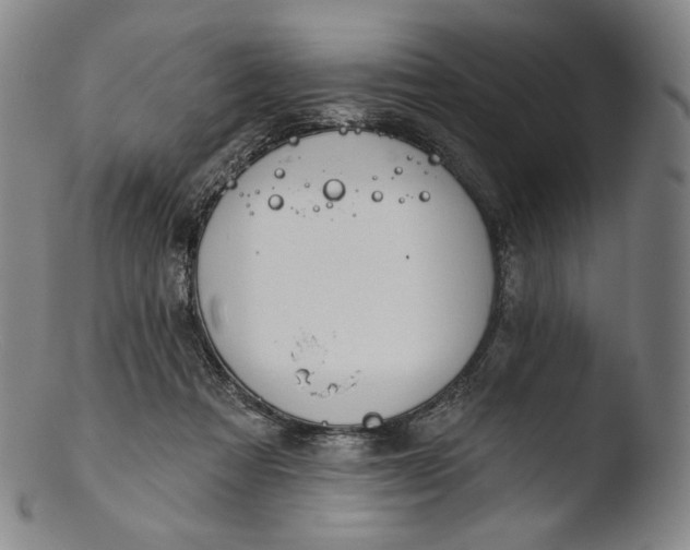 X0000103440313200809261800