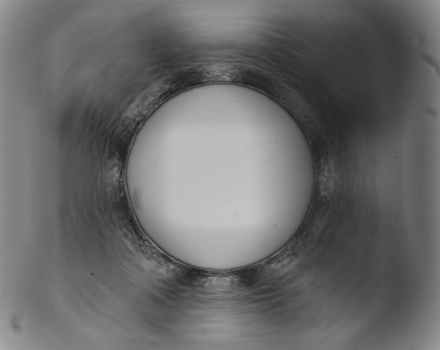 X0000103440314200809261800