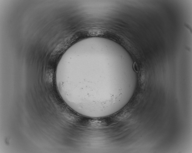 X0000103440315200809261800