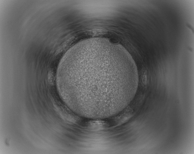X0000103440316200809261800