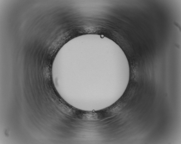 X0000103440317200809261759