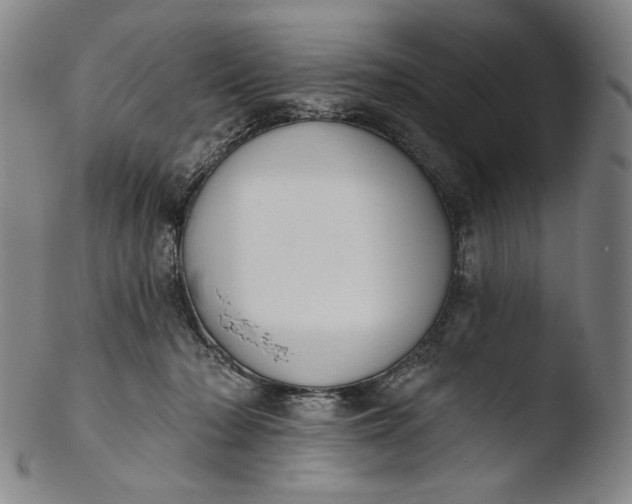 X0000103440318200809261759