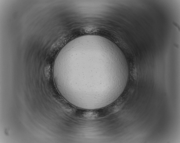 X0000103440319200809261759