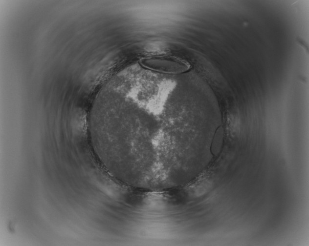 X0000103440320200809261759