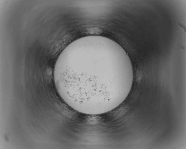 X0000103440321200809261759
