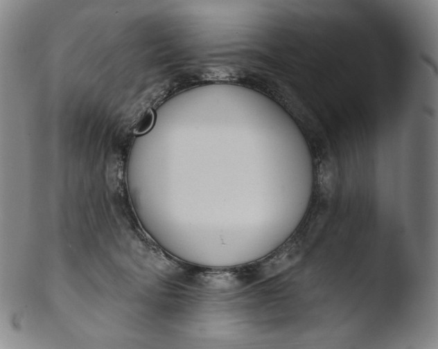 X0000103440322200809261759