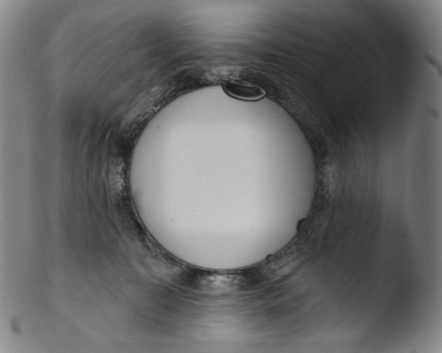 X0000103440323200809261759