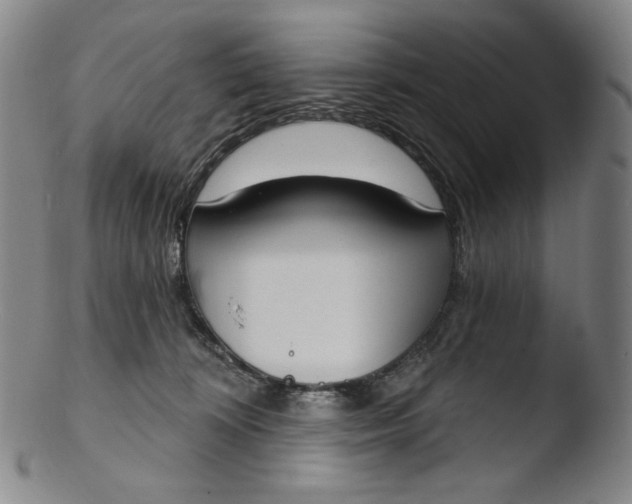 X0000103440324200809261759