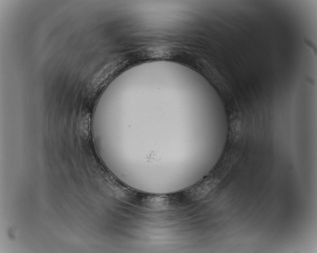X0000103440325200809261759
